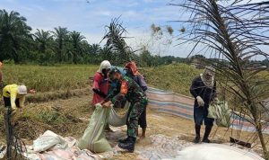 9c60c9a3-89d4-41ad-b942-4822c5b9990a (Copy)