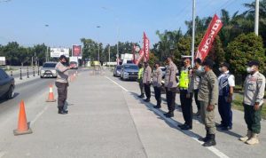 d8cfaaf3-523c-4fcc-b828-8907110a28f0 (Copy)