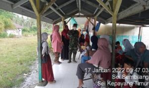 3 (2) (Copy)