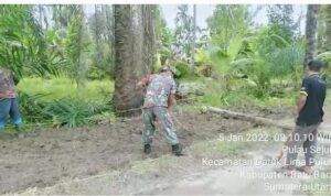 5 (1) (Copy)