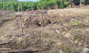 WhatsApp Image 2022-08-09 at 20.20.06 (Copy)