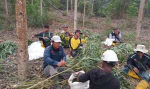 ac2a414d-1631-457d-9caf-7b497d3af256 (Copy)